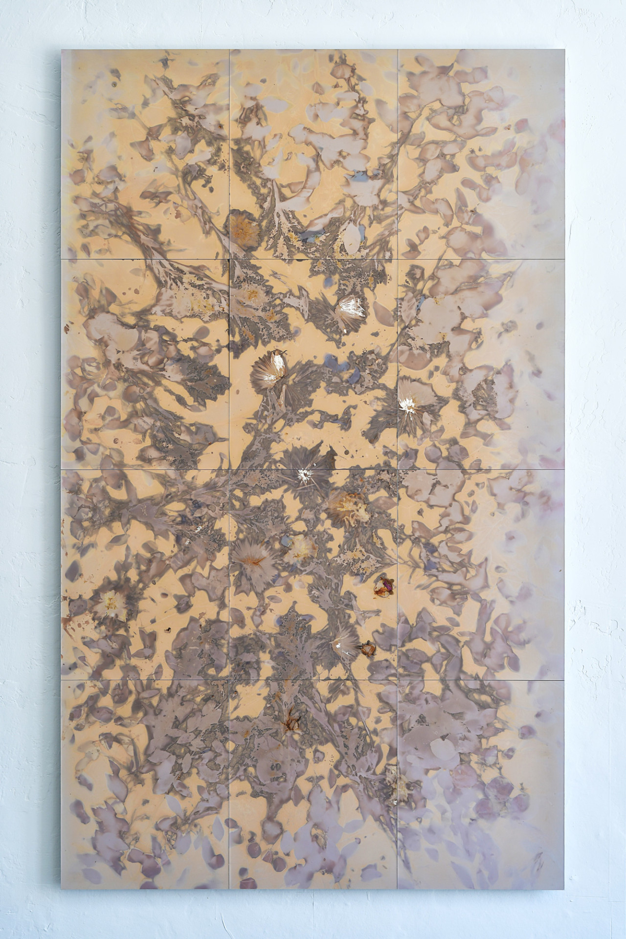 Robert Canali Somewhere I Have Never Travelled