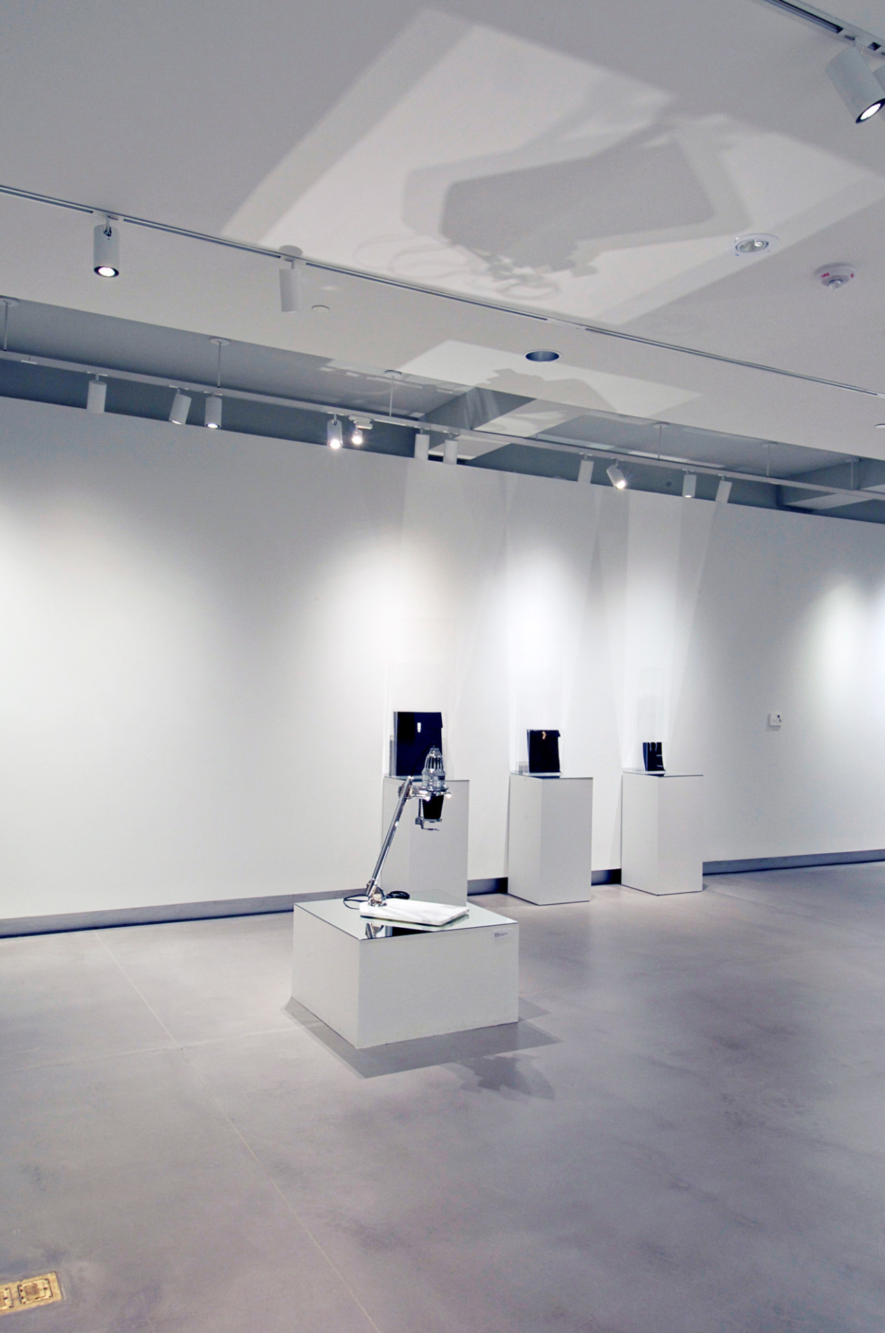 Robert Canali Somewhere I Have Never Travelled
